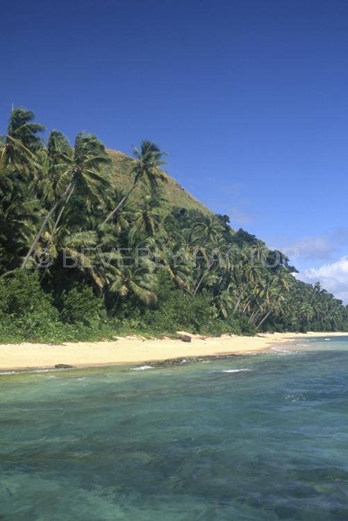 Islands;blue water;fiji;palm trees;blue sky